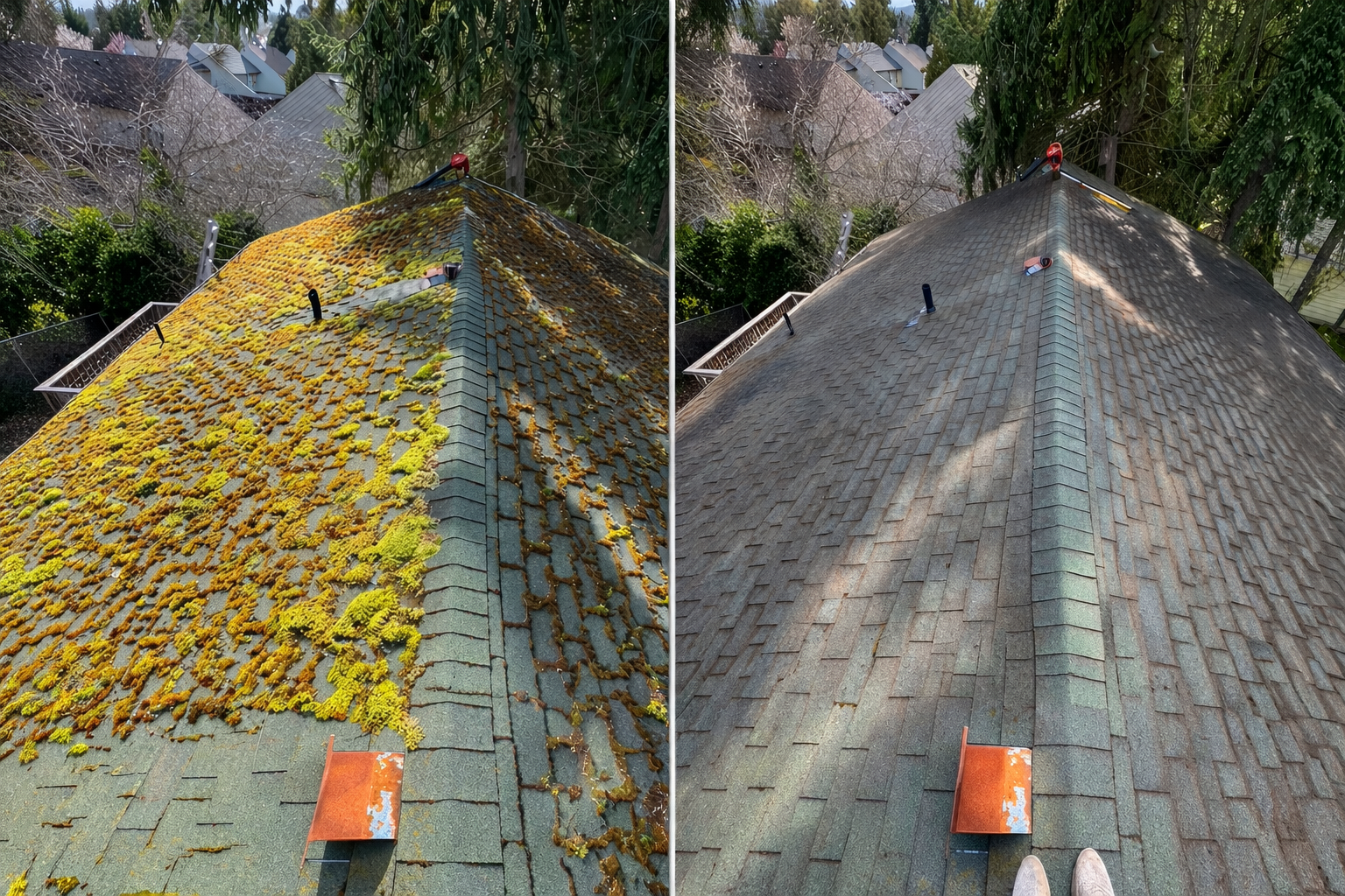 Roof Cleaning